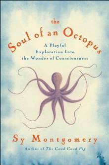 The Soul of an Octopus : A Surprising Exploration into the Wonder of Consciousness