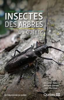Insectes des arbres du Québec