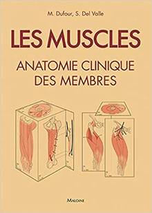 Les muscles : anatomie clinique des membres : 250 fiches illustrées
