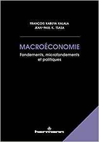 Macroéconomie : fondements, microfondements et politiques 