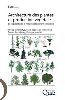 Architecture des plantes et production végétale : les apports de la modélisation mathématique 