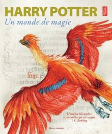 Harry Potter : un monde de magie