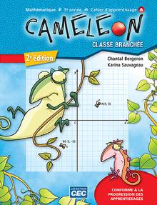 Caméléon, mathématique, 5e année : cahiers d'apprentissage A et B