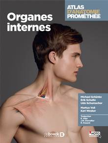 Atlas d'anatomie Prométhée : Organes internes