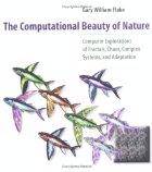 Computational beauty of nature: computer explorations of fractals