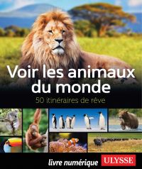Voir les animaux du monde : 50 itinéraires de rêve