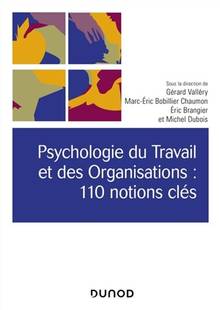 Psychologie du travail et des organisations : 110 notions clés - 2e édition