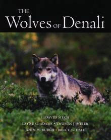 The wolves of Denali