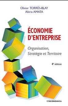 Economie d'entreprise : organisation, stratégie et territoire - 4e édition