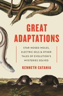 Great adaptations : Star-nosed moles, electric eel & other tales of evolution's mysteries solved