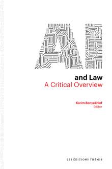 AI and law a critical overview