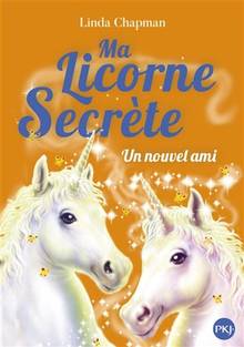 Ma licorne secrète : Volume 6, Un nouvel ami