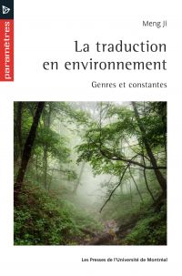 Traduction en environnement, La
