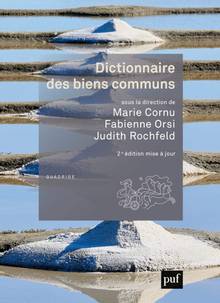 Dictionnaire des biens communs : 2e édition