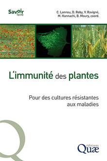 L'immunité des plantes : pour des cultures résistantes aux maladies