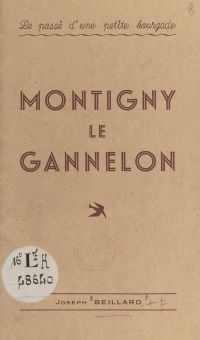Le passé d'une petite bourgade : Montigny le Gannelon