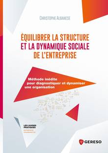 Equilibrer la structure et la dynamique sociale de l'entreprise : méthode inédite pour diagnostiquer et dynamiser une organisation
