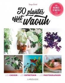 50 plantes effet waouh : les reines d'Insta ! : les choisir, les entretenir, les photographier50 plantes effet waouh : les reines d'Insta ! : les choisir, les entretenir, les photographier