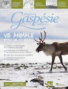 Magazine Gaspésie. no 199, Décembre-Mars 2020-2021