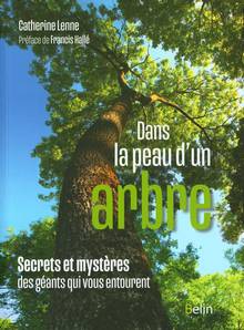 Dans la peau d'un arbre : secrets et mystères des géants qui vous entourent