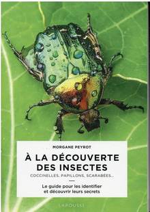 A la découverte des insectes : coccinelles, papillons, scarabées... : le guide pour les identifier et découvrir leurs secrets