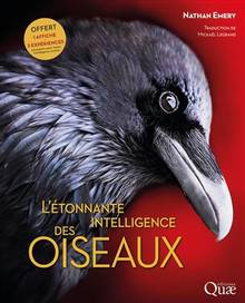 L'étonnante intelligence des oiseaux - 2e édition