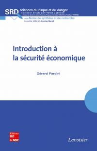 Introduction à la sécurité économique