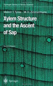 Xylem structure and the ascent of sap