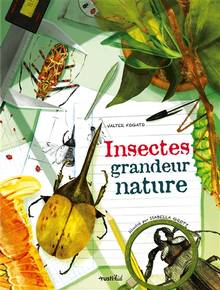 Insectes : grandeur nature