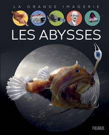 Abysses (Les)