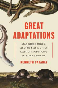 Great Adaptations : Star-Nosed Moles, Electric Eels, and Other Tales of Evolution's Mysteries Solved