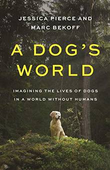 A Dog's World : Imagining the Lives of Dogs in a World Without Humans