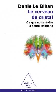 Cerveau de cristal : ce que nous révèle la neuro-imagerie (Le)