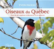Oiseaux du Québec : plus de 60 espèces à découvrir et à admirer