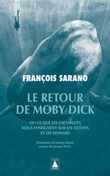 Retour de Moby Dick ou Ce que les cachalots nous enseignent sur les océans et les hommes, Le