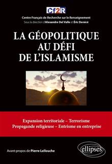 Géopolitique au défi de l'islamisme : expansion territoriale, terrorisme, propagande religieuse, entrisme en entreprise