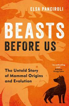 Beasts Before Us : The Untold Story of Mammal Origins and Evolution