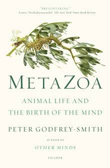 Metazoa : Animal Life and the Birth of the Mind