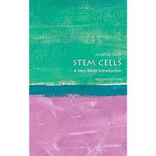 Stem Cells: a Very Short Introduction