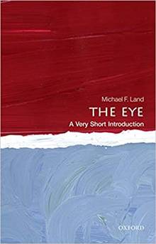 The Eye: a Very Short Introduction