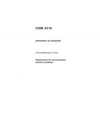 COM 3216, Animation et créativité